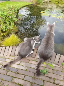 Annelies 03 On the waterfront